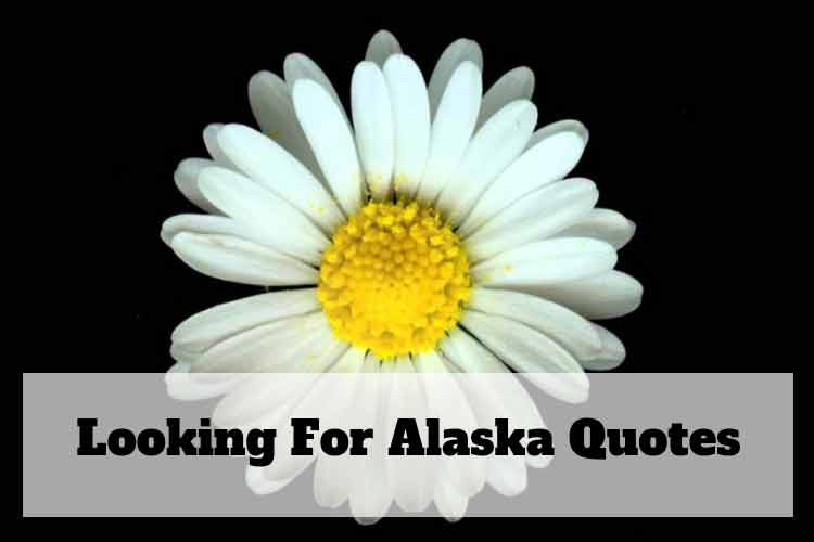 looking for alaska quotes with page numbers