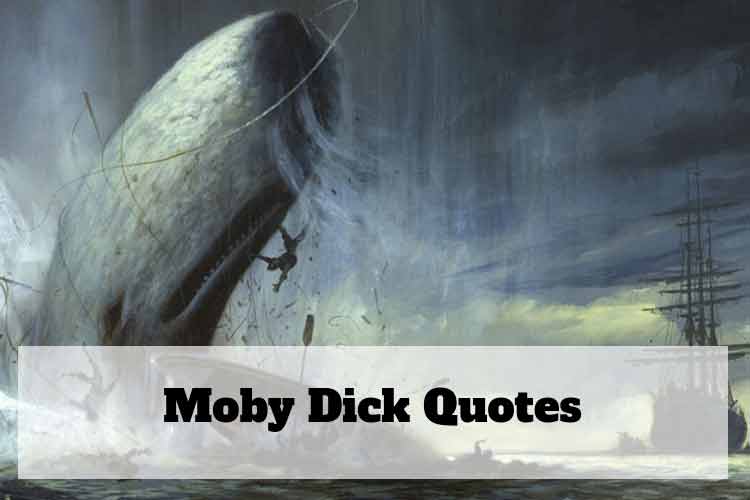 melville moby dick quotes