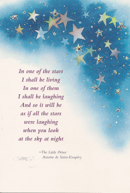 the little prince 2015