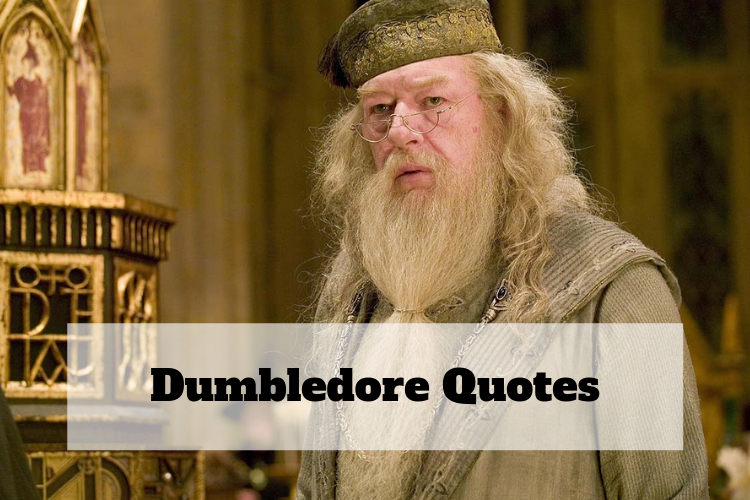 the headmaster of the wizarding school Hogwarts.