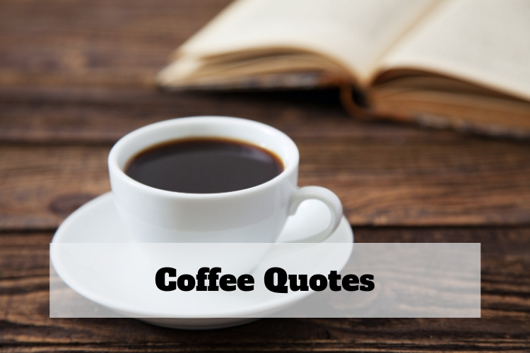 iced coffee quotes