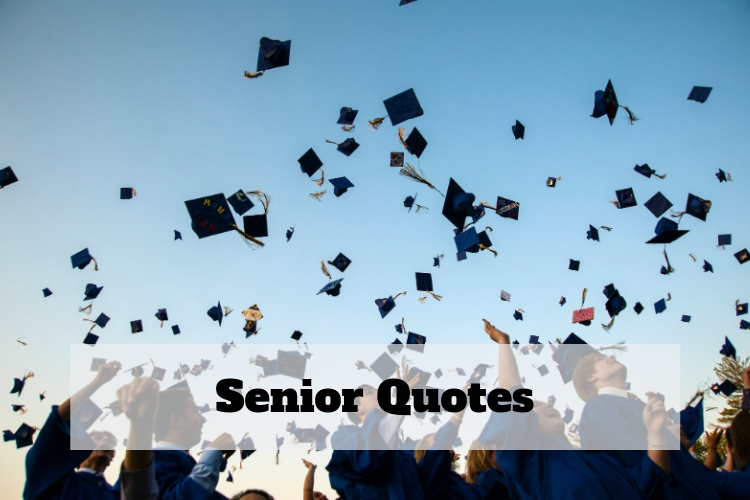 quotes senior