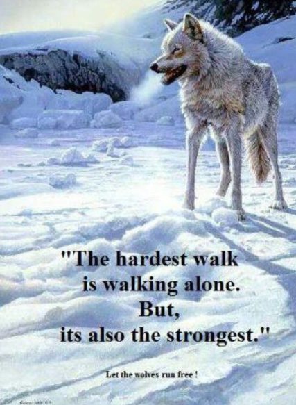 wolf sayings and proverbs