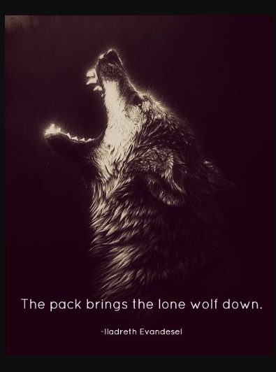 leader of the pack quotes