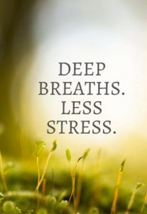 31+ Mindfulness Quotes, How To Pratice Mindfulness Meditation