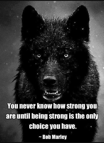 wolves quote
