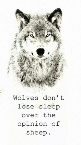 lone wolf quotes about strength