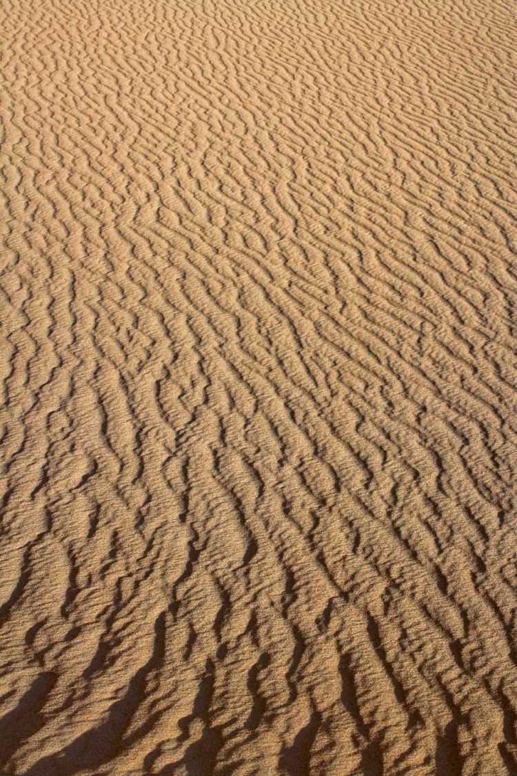 sand texture2018