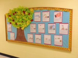 50+ Bulletin Boards Ideas For Your Beloved School