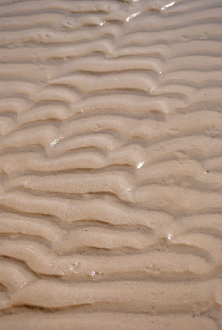 wet little bit sand texture