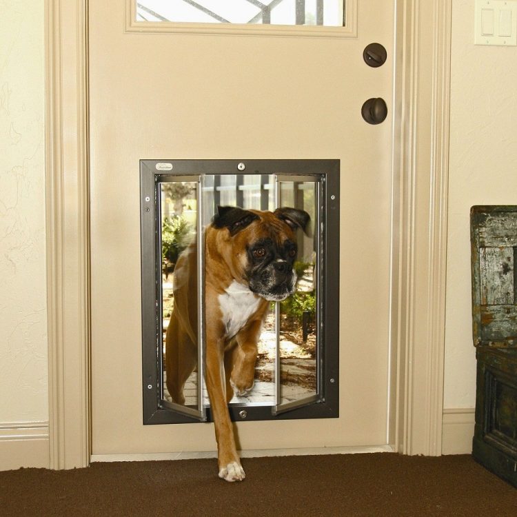 dog door for storm door