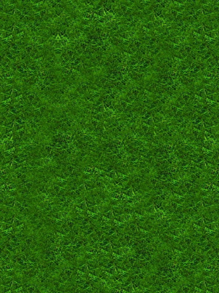 green grass texture hd