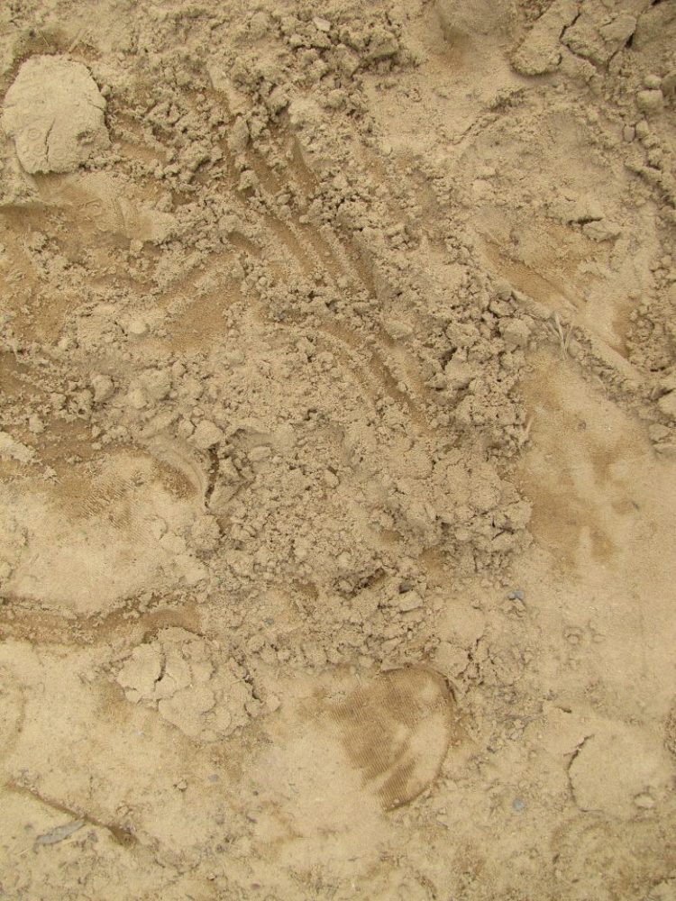 dirt wipes texture
