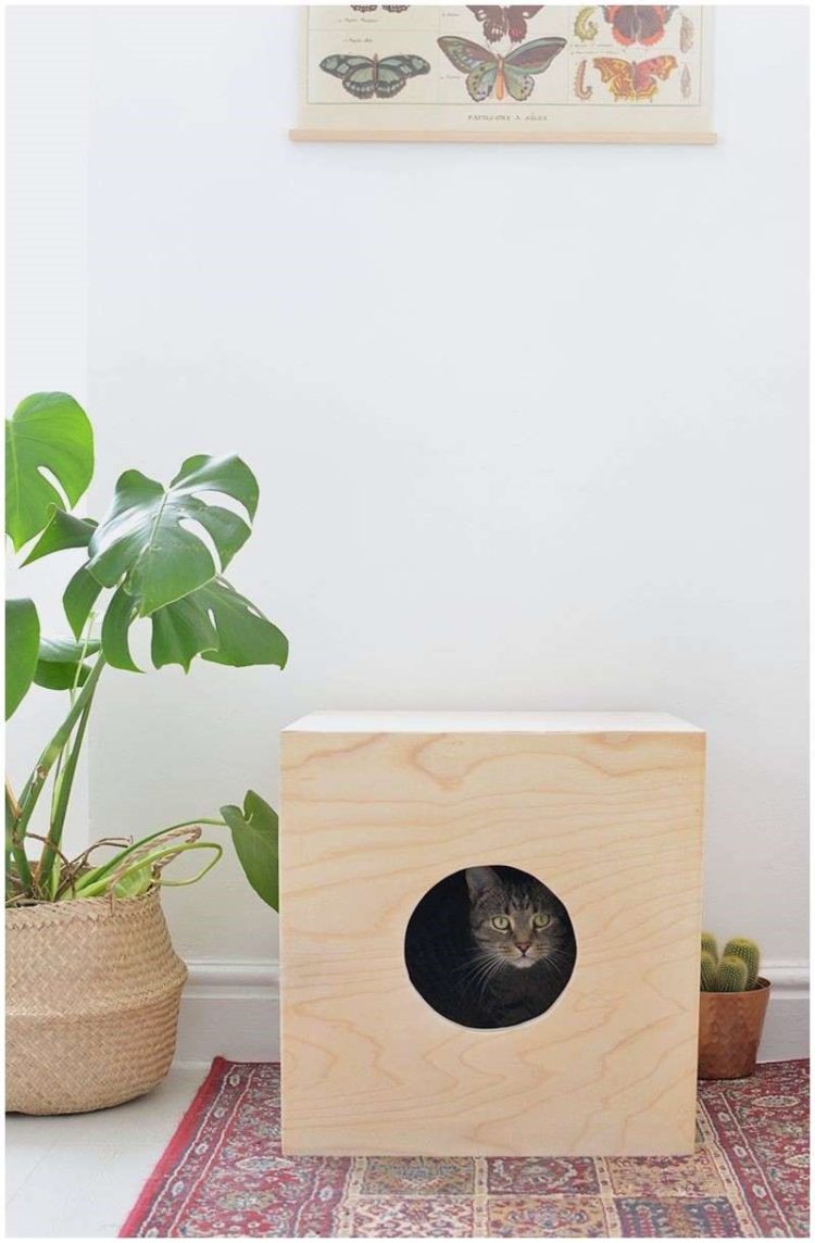 best outdoor cat house heated