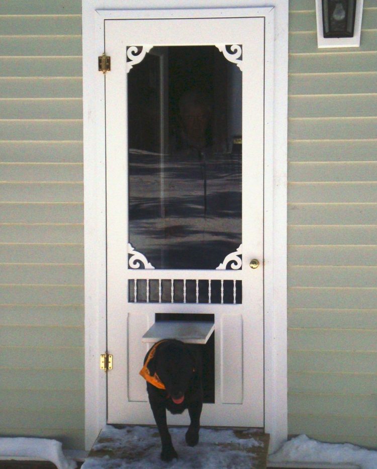 dog door extension
