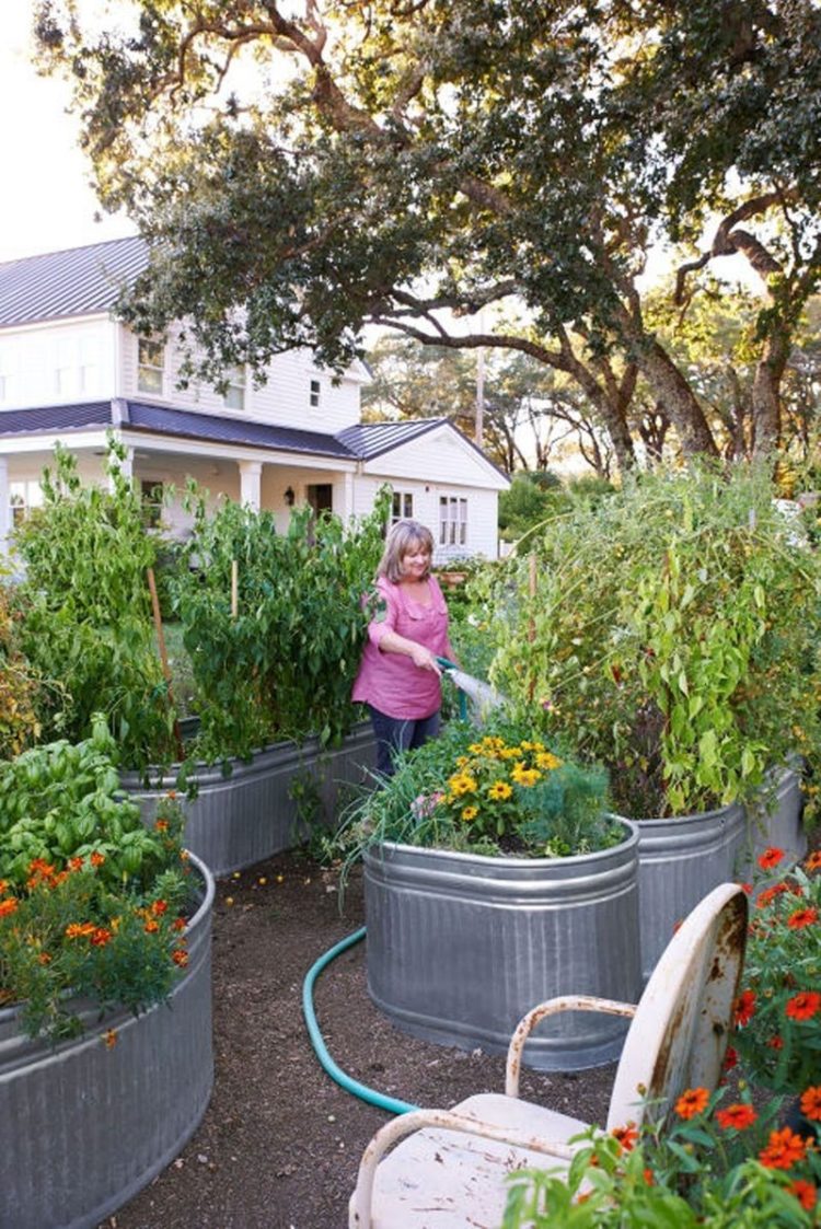 galvanized tub vegetable garden
