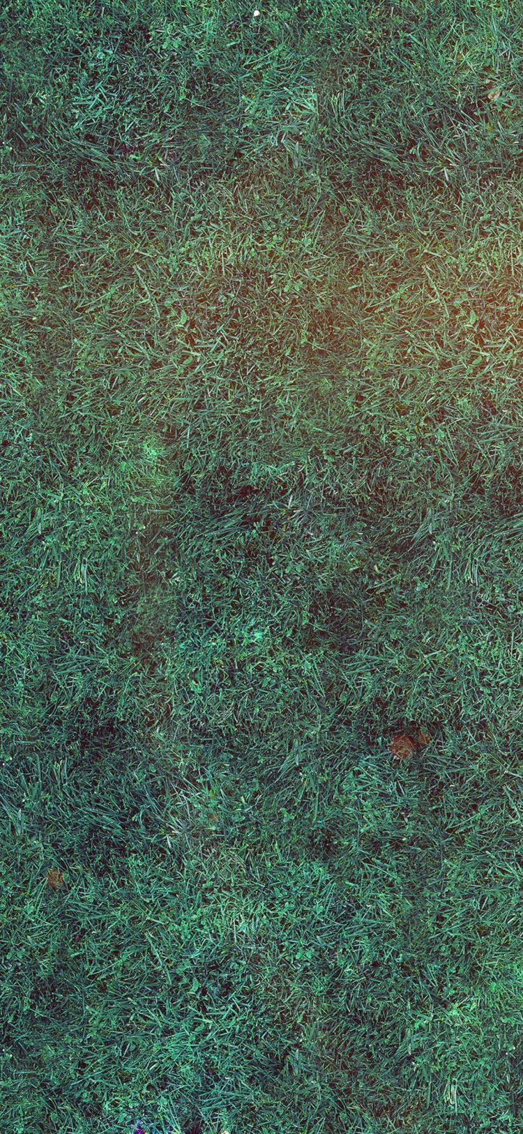 grass texture keyshot