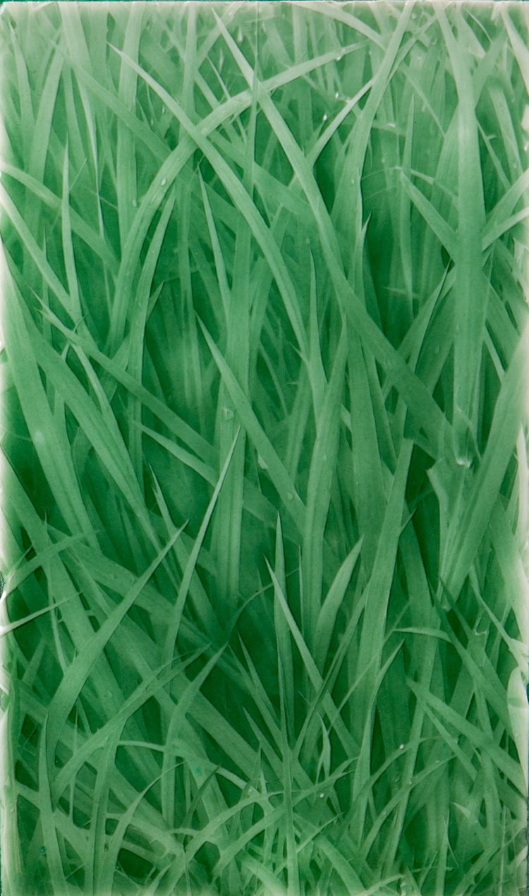 grass texture mat