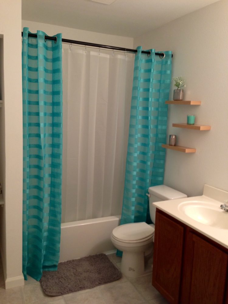 hookless shower curtain mold