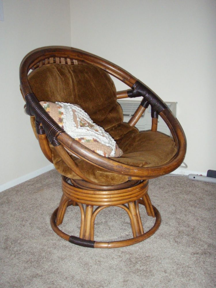 papasan chair for dogs