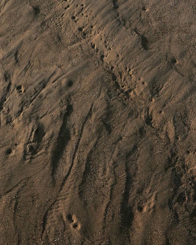 sand texture with normal