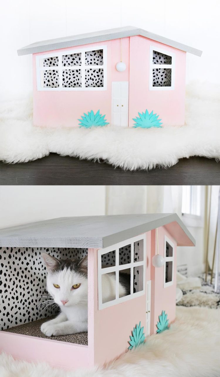 outdoor cat house kennel