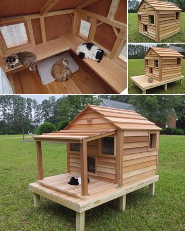 outdoor cat house on legs