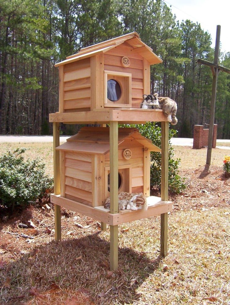 52 DIY Outdoor Cat House Ideas For Winters And Summer