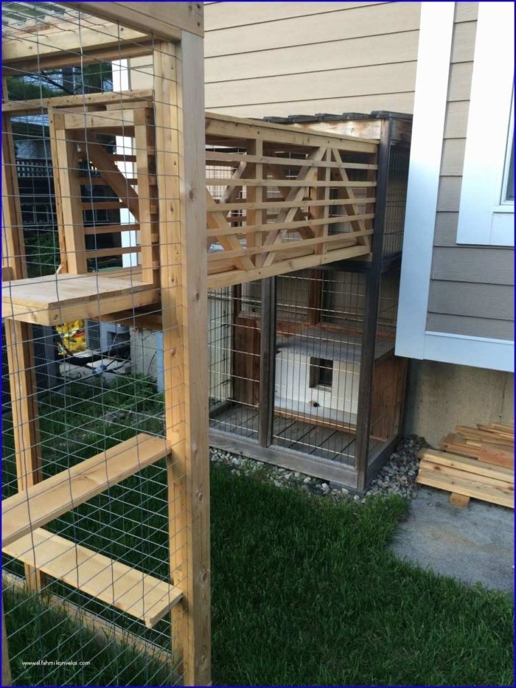 homemade outdoor cat house