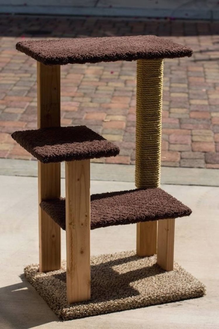 outdoor cat house small