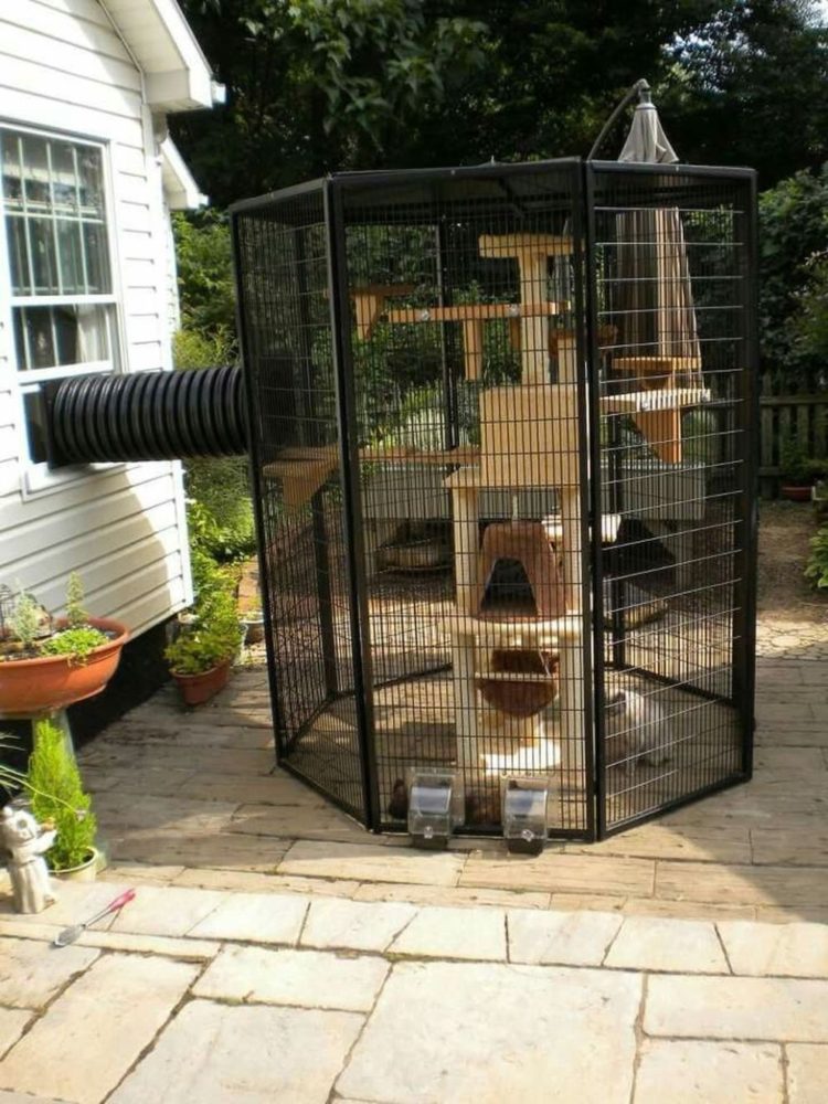 raccoon proof outdoor cat house
