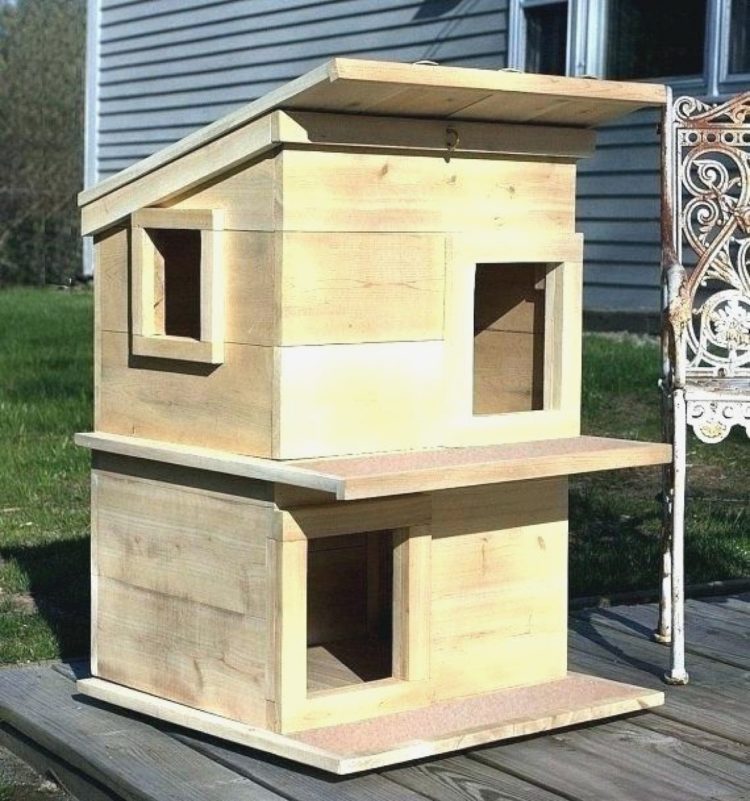 outdoor cat house with litter box