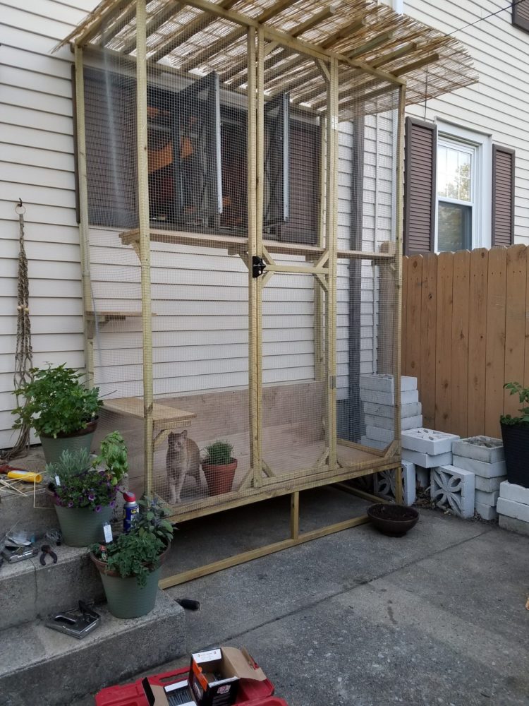 outdoor cat house out of pallets