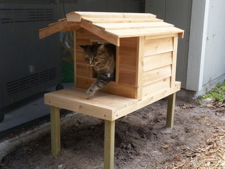 52 DIY Outdoor Cat  House  Ideas For Winters And Summer