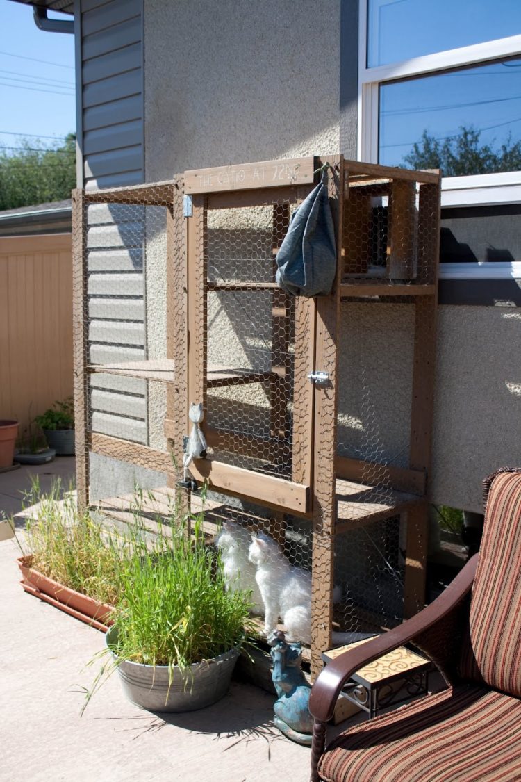 outdoor cat house plans winter