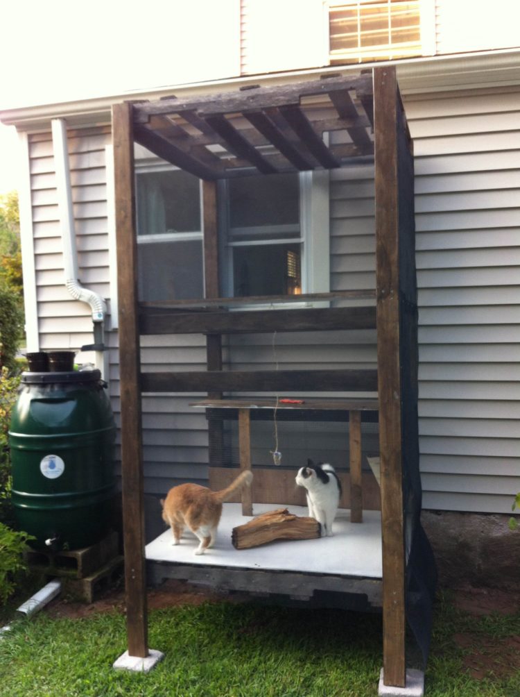 outdoor cat house petco