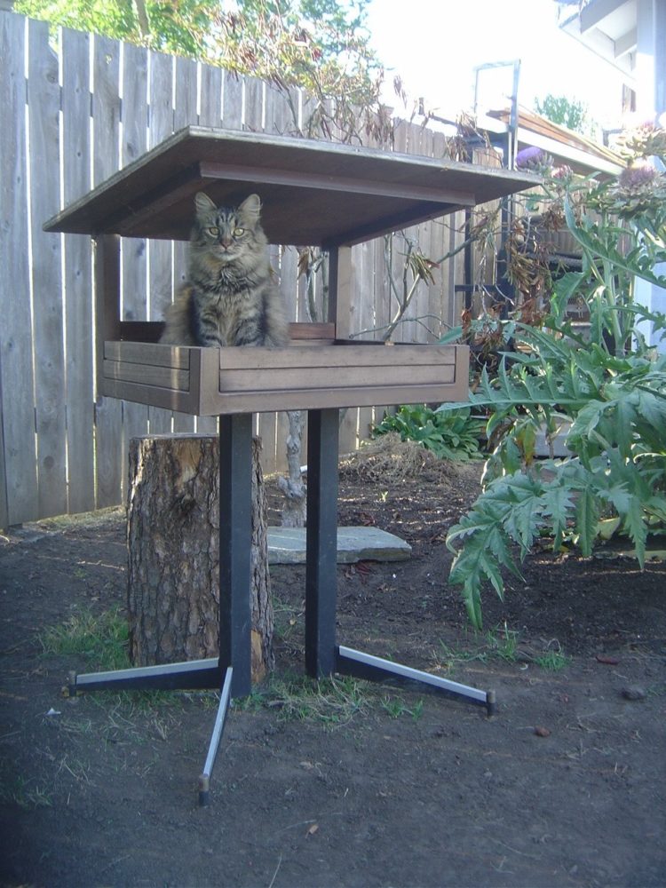 outdoor cat house planter