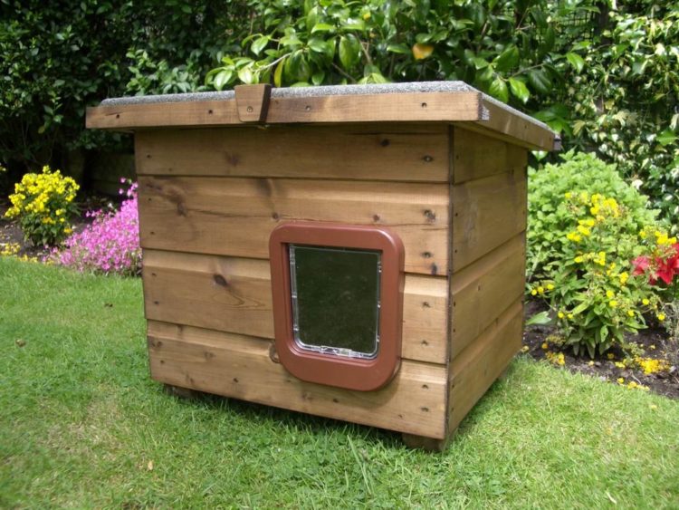 outdoor cat house with flap