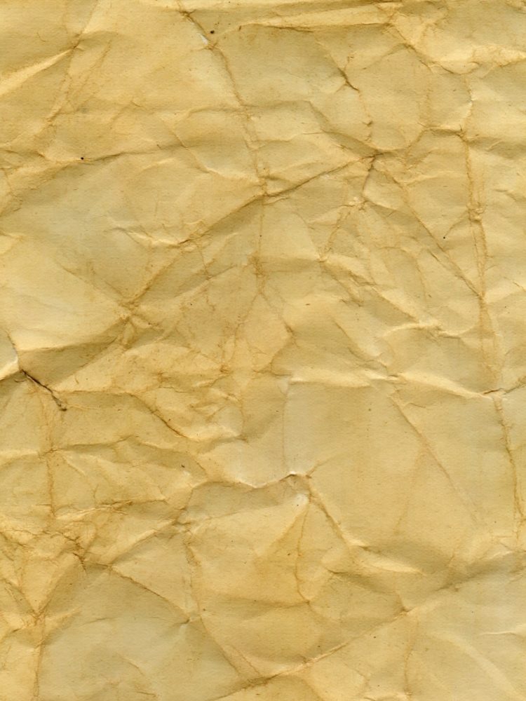 bark parchment texture 4