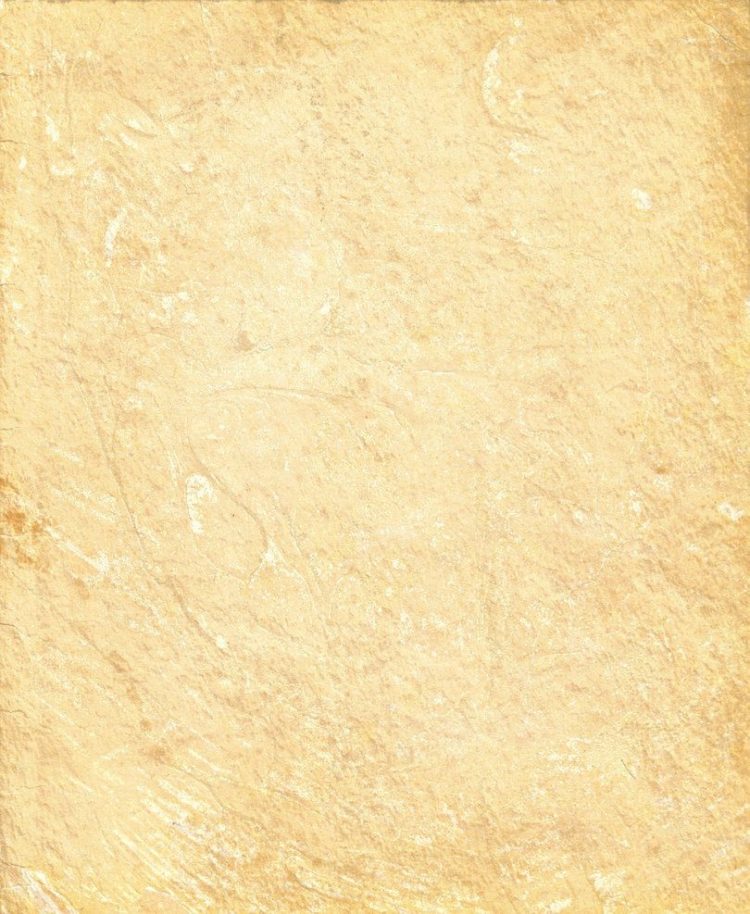 parchment paper texture download 8