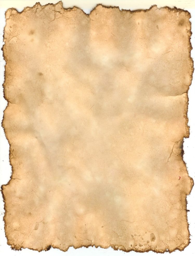 parchment texture eps