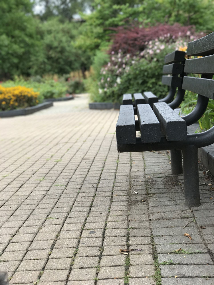 park bench ottawa