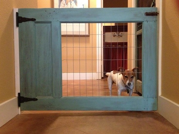 dog door installation