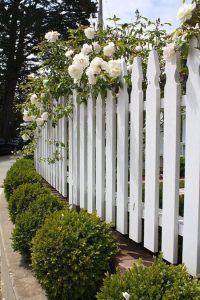 Picket Fence Chillicothe