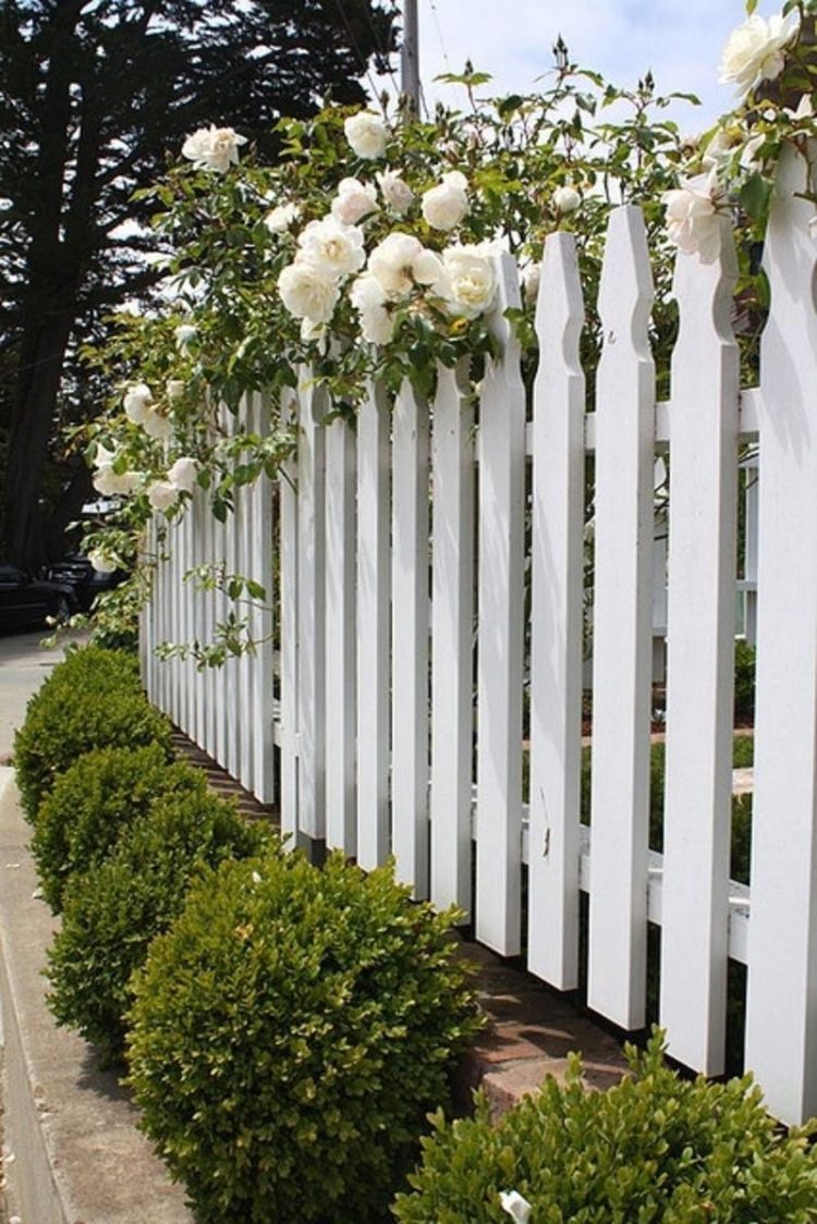 white picket fence flowers