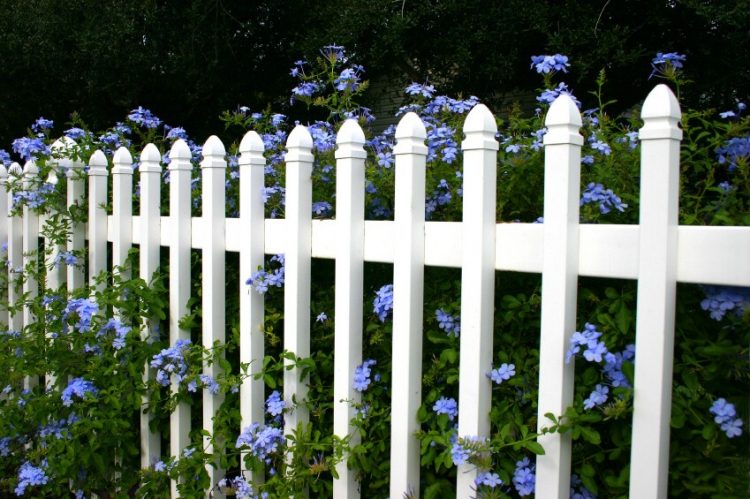 picket fence boards