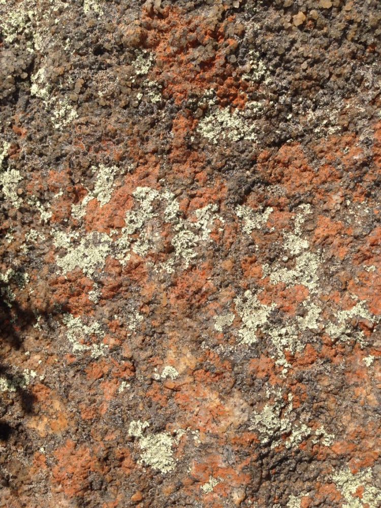 texture of rock salt