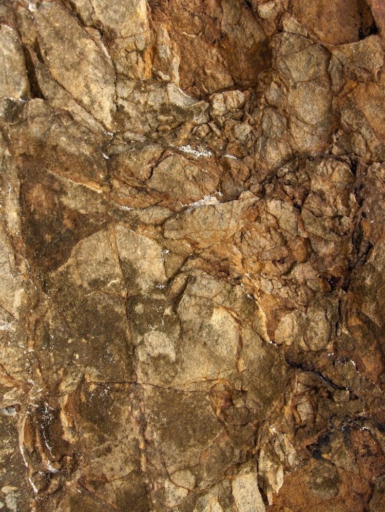 rock texture of quartz