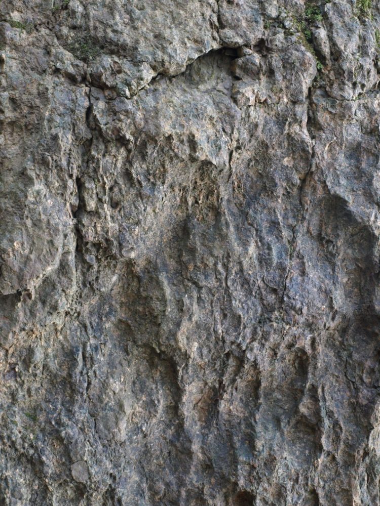 rock texture metamorphic