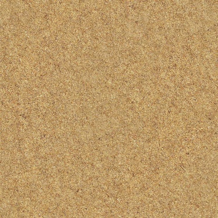 sand grass texture